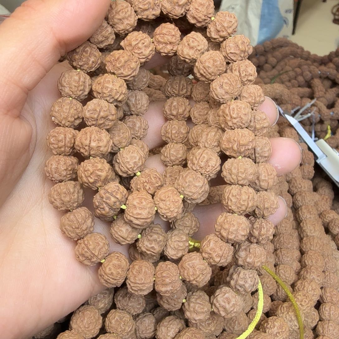 金刚菩提吊坠天花板五星双龙1条  非全品