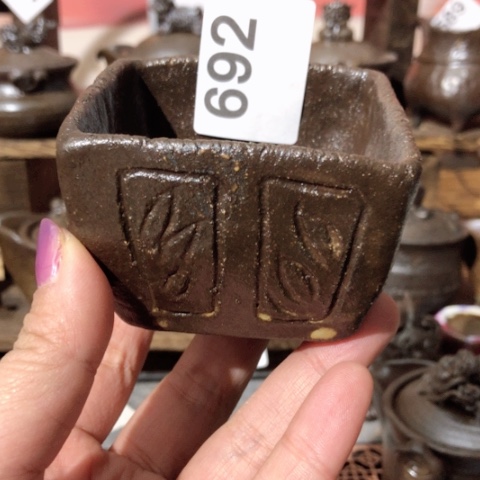 木有一点点的小姐姐