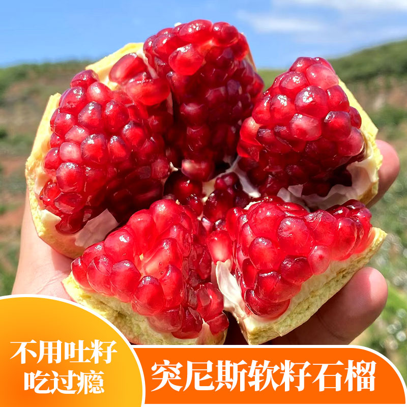 四川会理突尼斯软籽石榴甜蜜多汁新鲜应季水果包邮发货