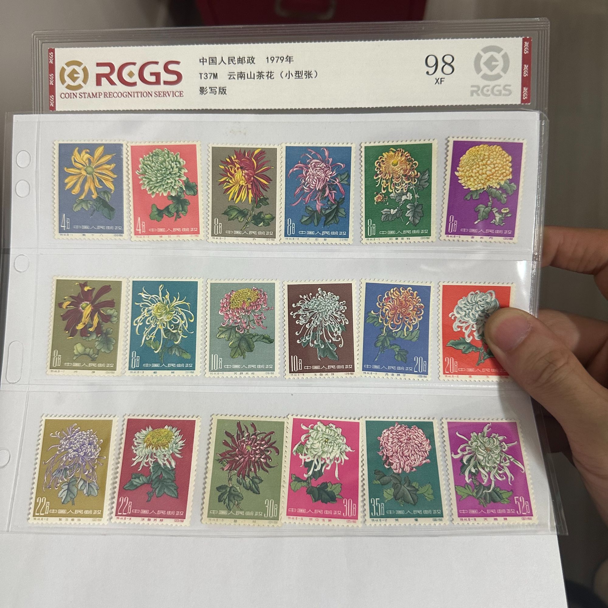 特44菊花邮票 新票 98分上美品