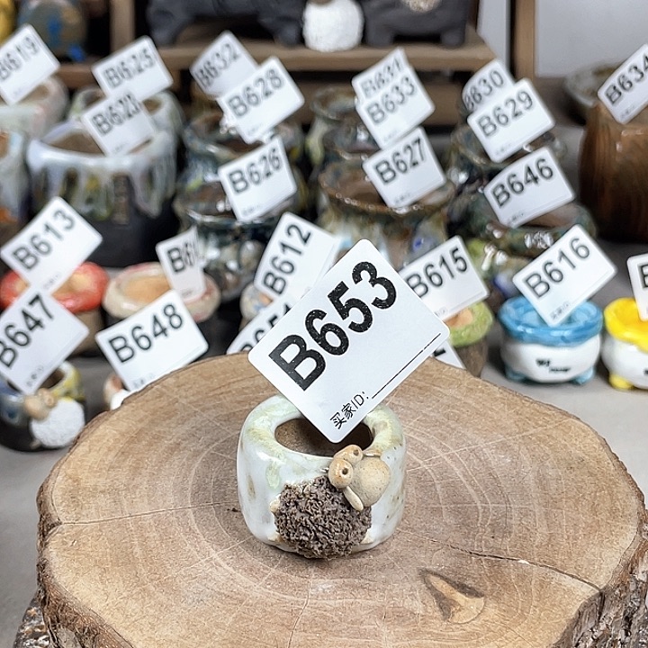 紫砂花盆小白孤品 立体小羊盆 内口2.5左右