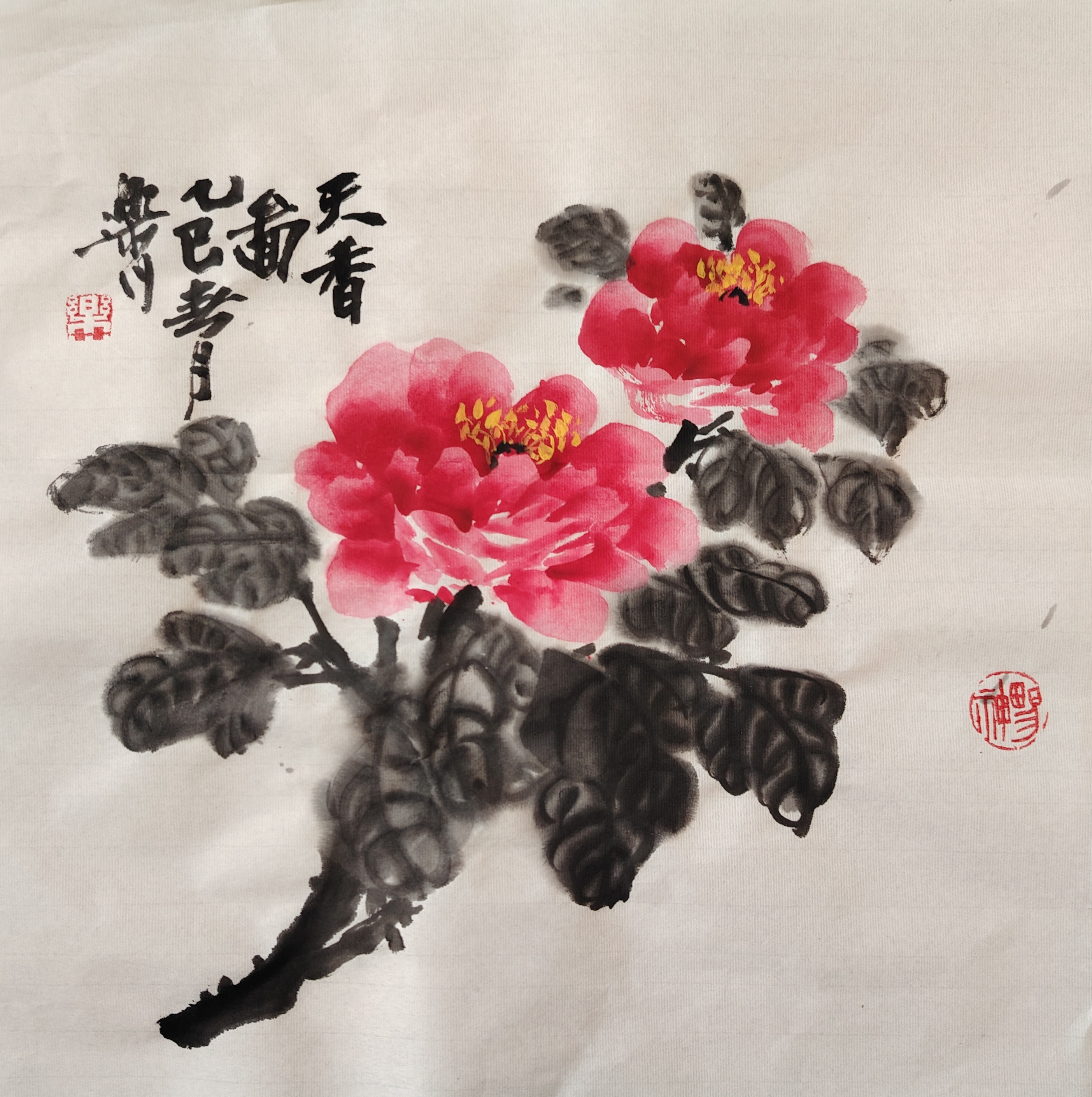 国色天香—牡丹图