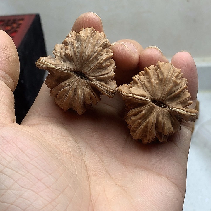 吊坠文玩核桃40 楼子