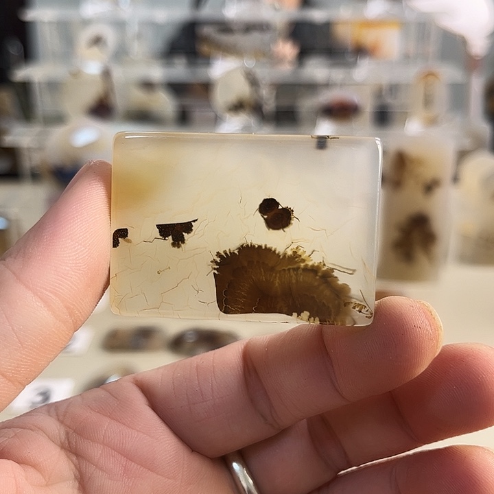 玛瑙/玉髓吊坠(不含链)未镶嵌