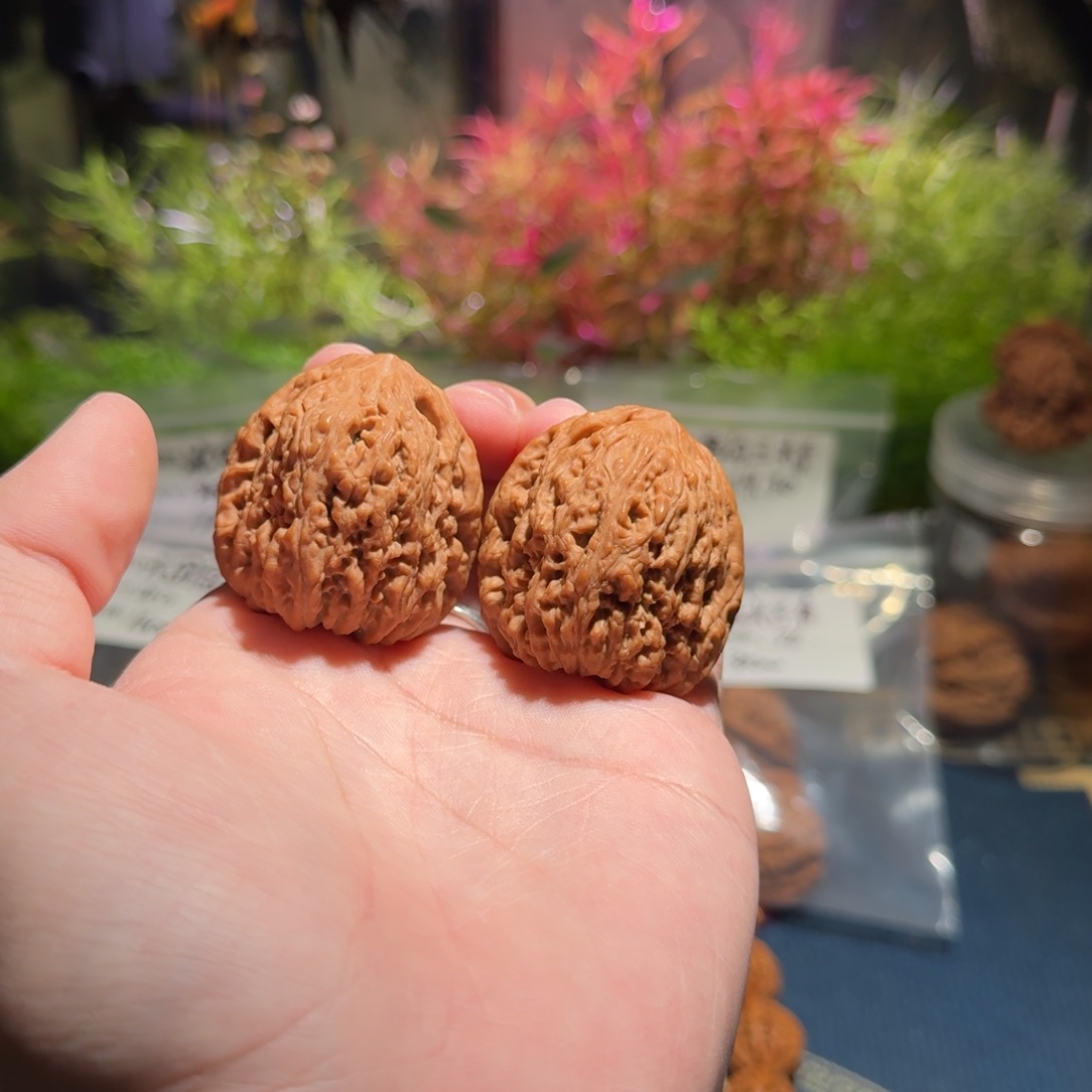 474号38高炮南疆石南疆石南疆石