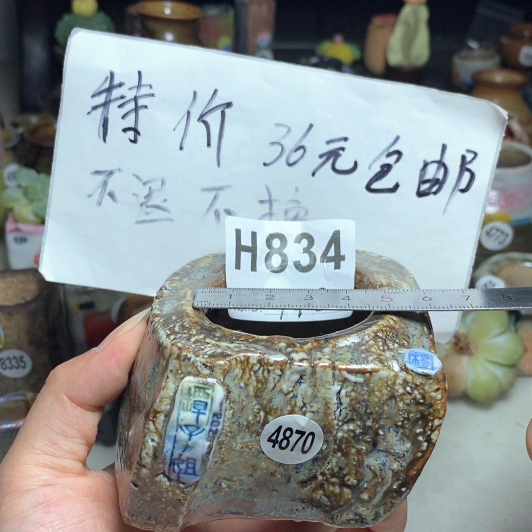 拍5送一个小礼物