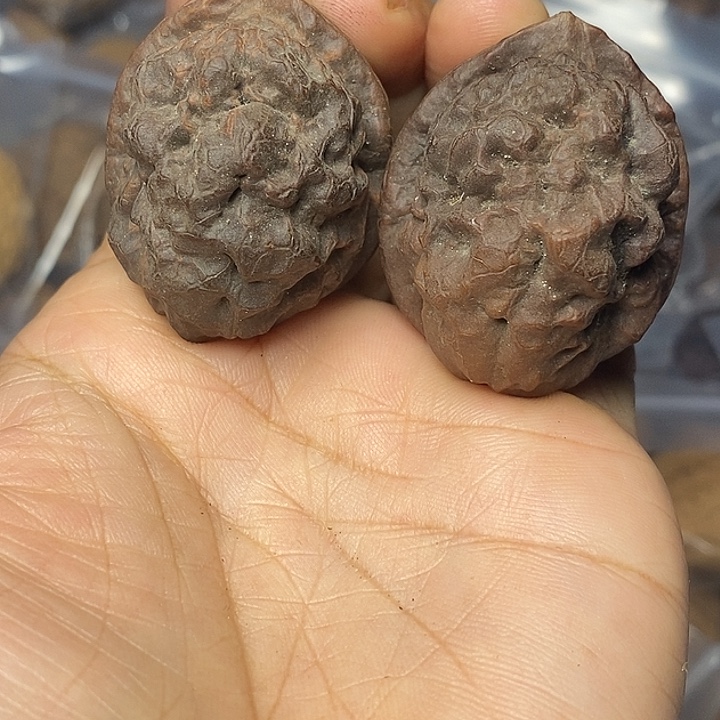 把件文玩核桃云南铁核桃99