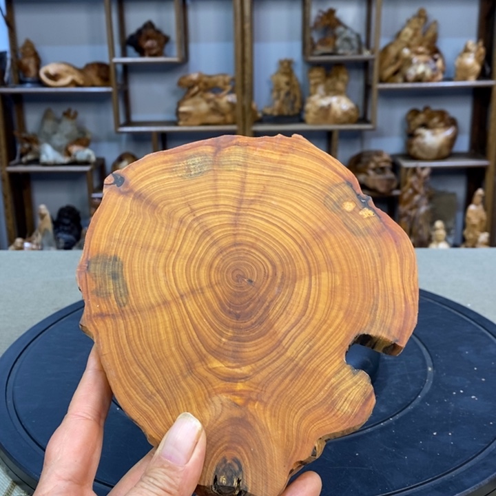 柏木（崖柏）崖柏1