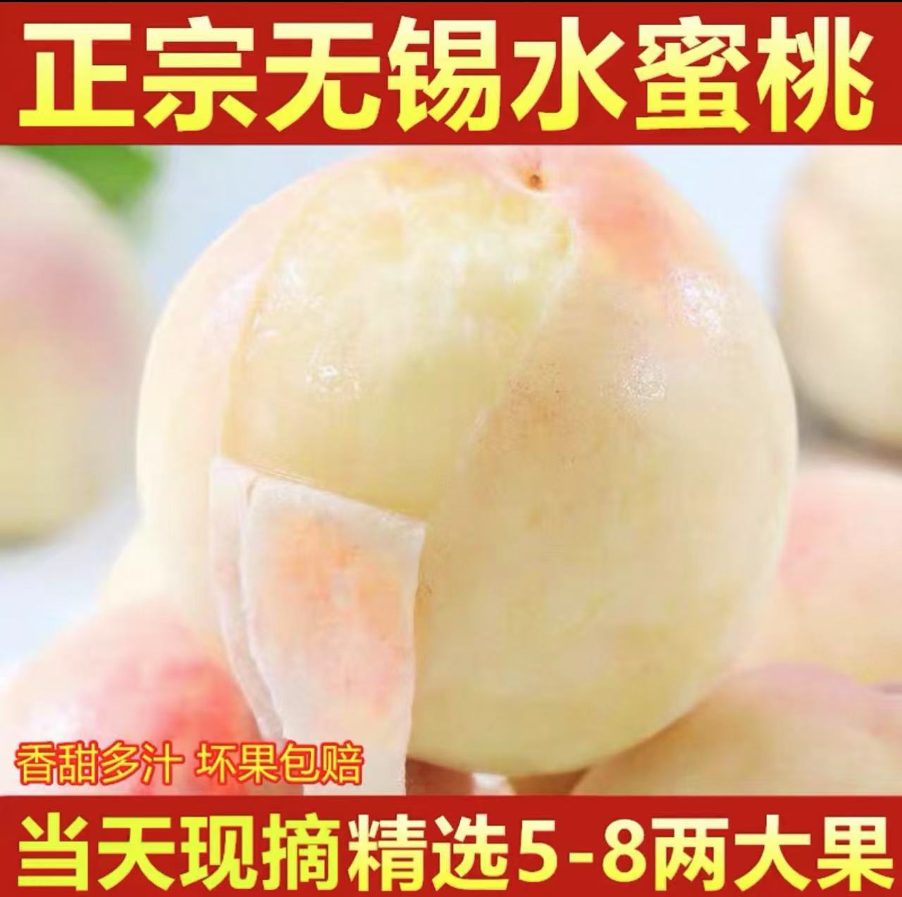 【果王1斤】正宗无锡水蜜桃新鲜现摘软硬两吃礼盒装江苏省