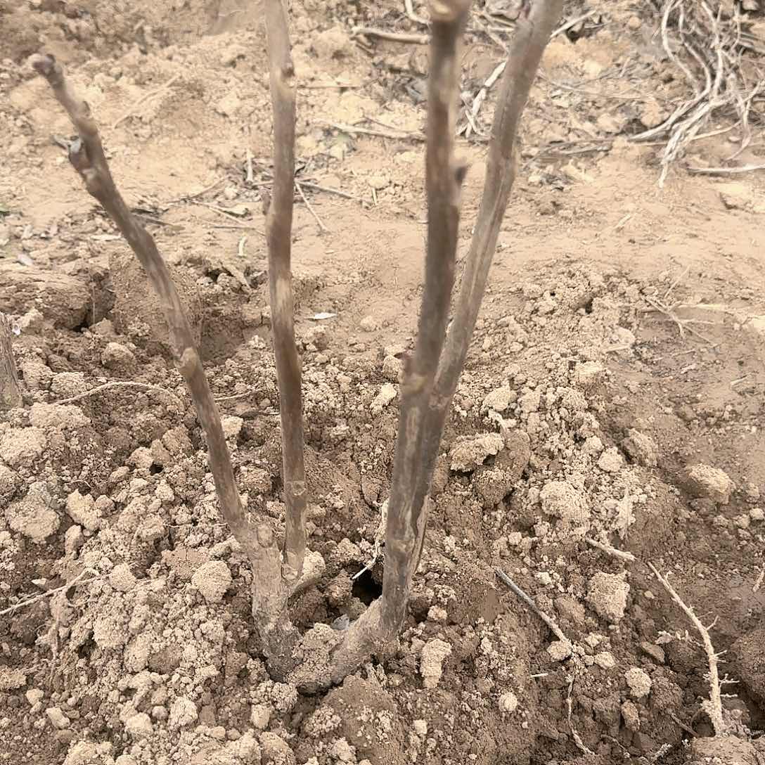 完全开放11111111111