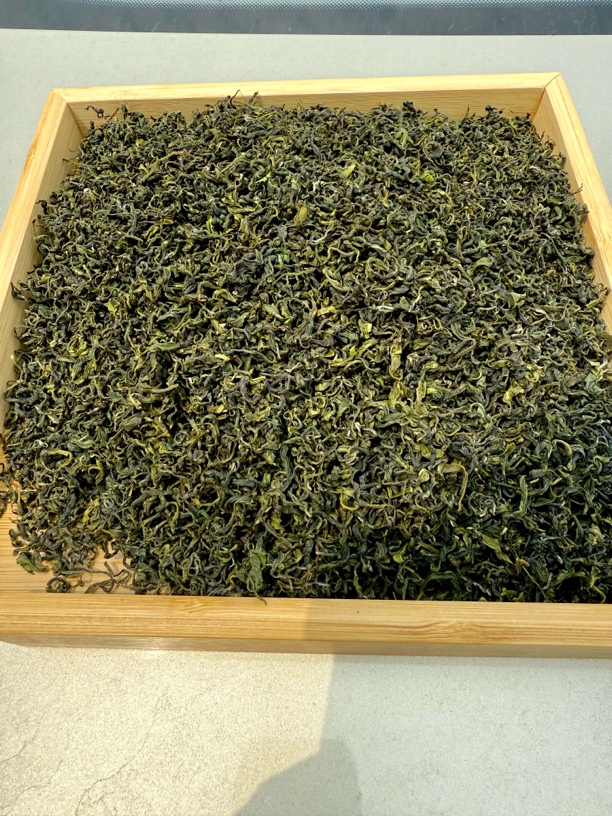 日照绿茶5月底浓香型板栗香沙口足茶叶耐泡正宗好茶