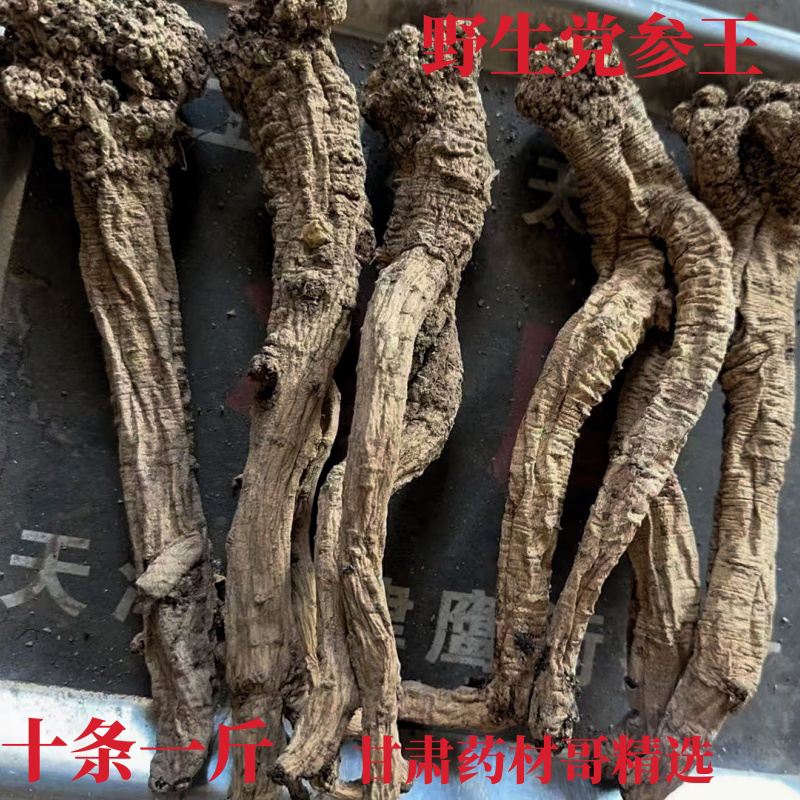 甘肃野山采挖野党参特大党参王煲汤煮水泡水泡酒新货无硫