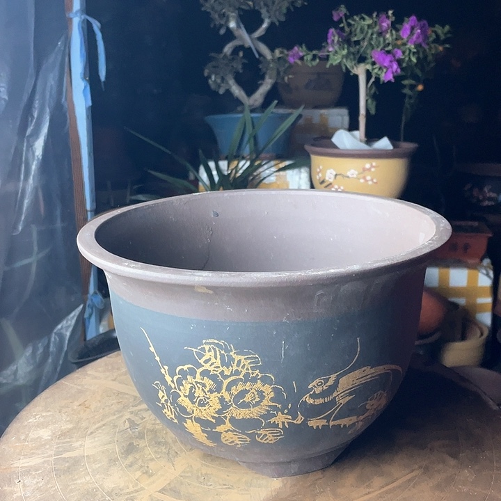 紫砂花盆花盆花盆a84