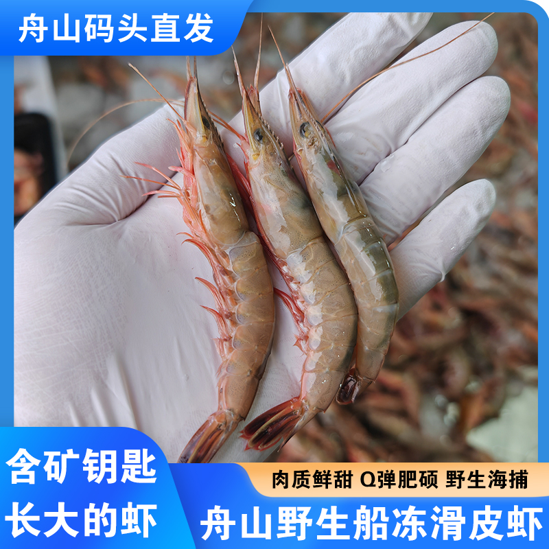 舟山野生滑皮虾鲜活海虾船冻大号舟山蛎虾生鲜硬壳虾水产新鲜冻虾