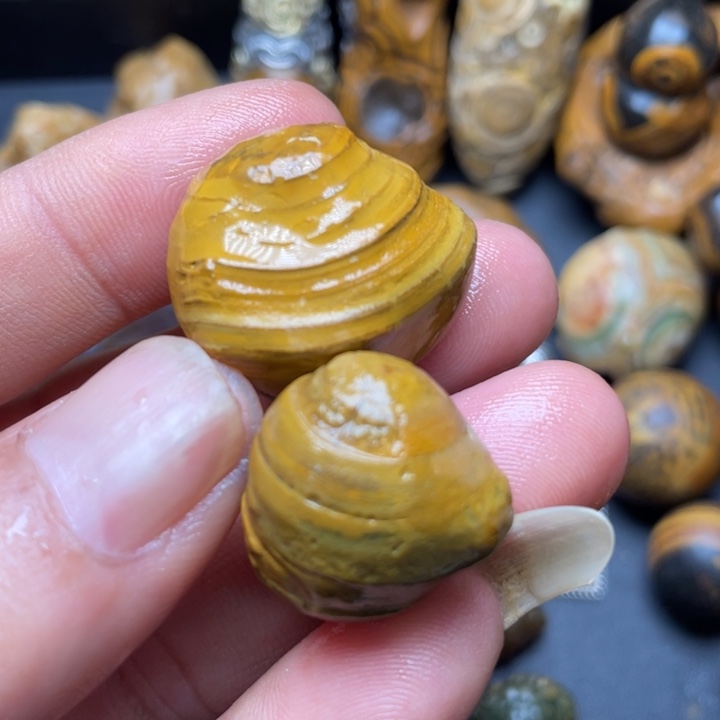 石材纯天然原石奇石270