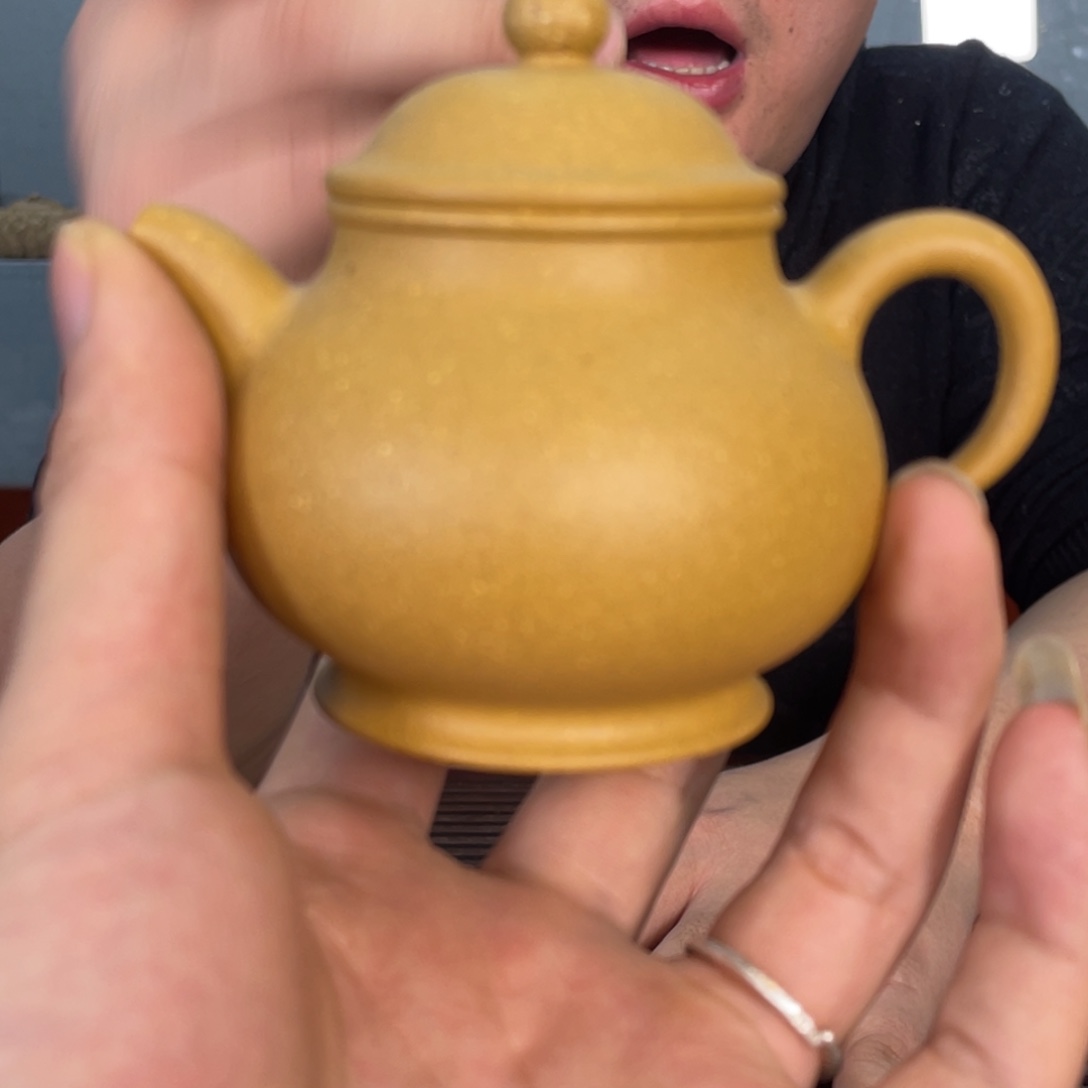 紫砂茶壶好想要小狗