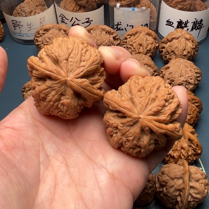 文玩核桃吊坠42大粗筋