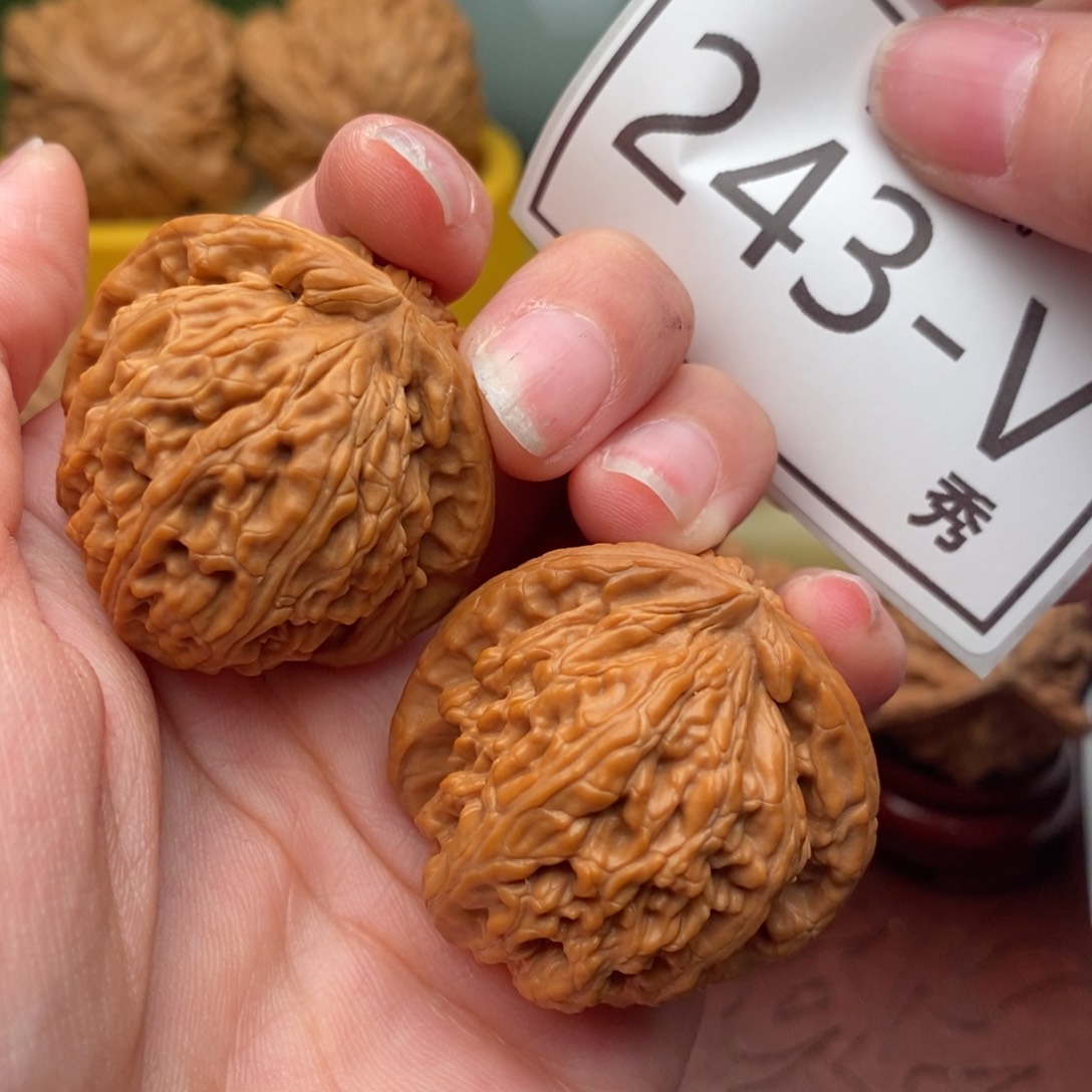 文玩核桃把件白狮36