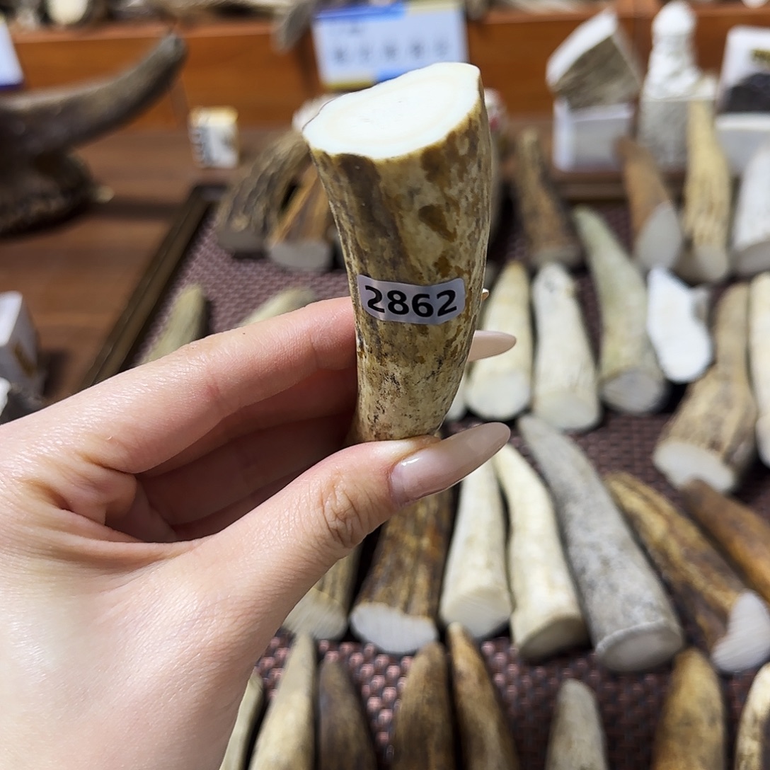 鹿骨手串/手链2862角尖