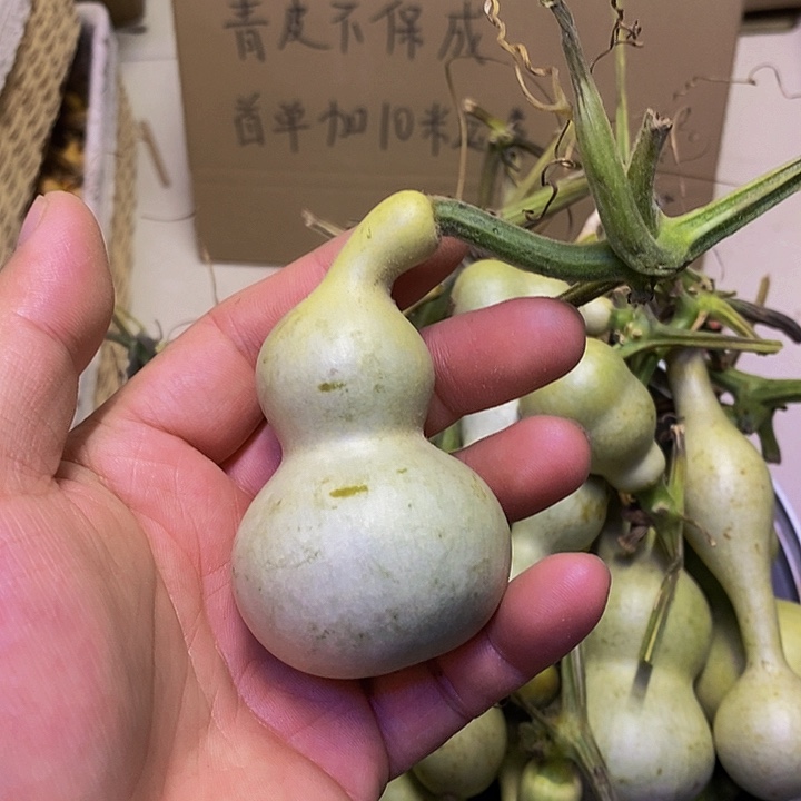 纳**虹长嘴哈哈哈哈哈哈哈哈哈哈哈哈好