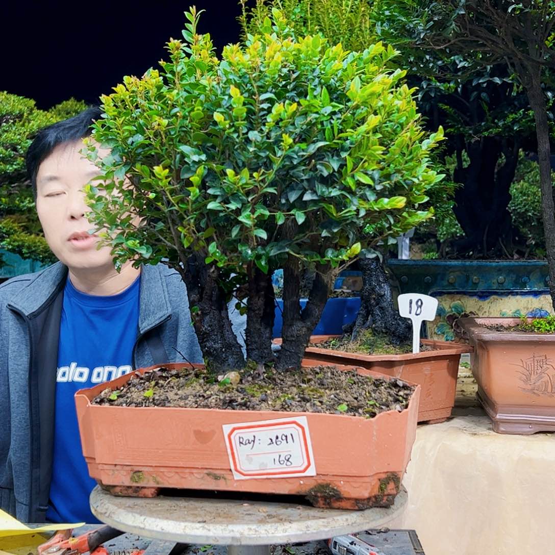 以实际为准R****?12345678