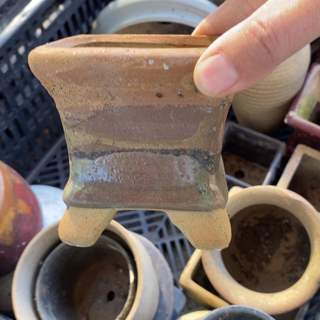 255）号多肉盆口径8