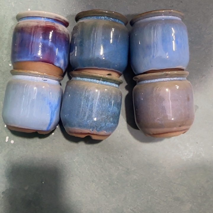 6个《所有单满15发（花盆）》