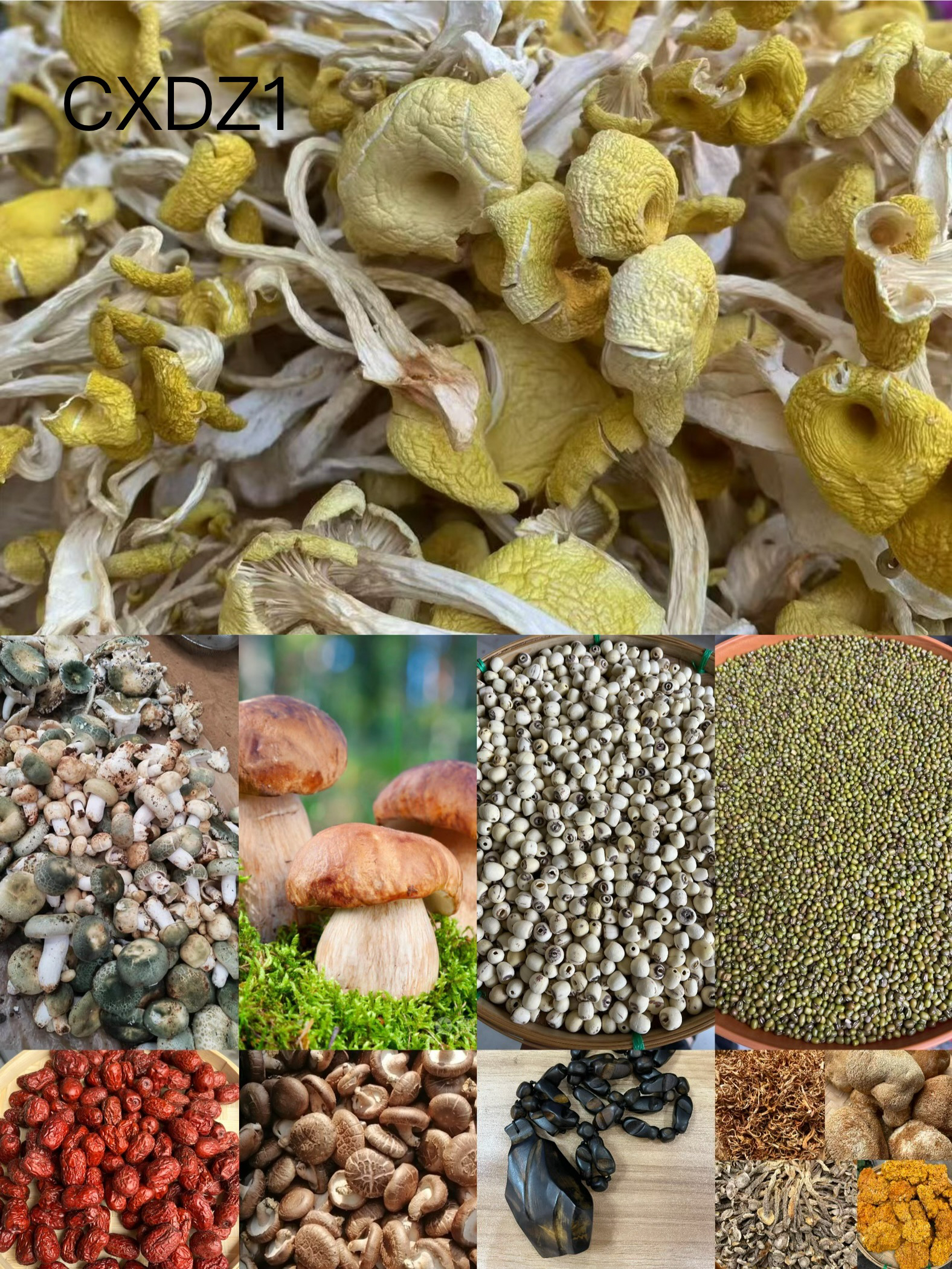 《阿浩专用土特产CXDZ1》多样性发货 重量75克左右