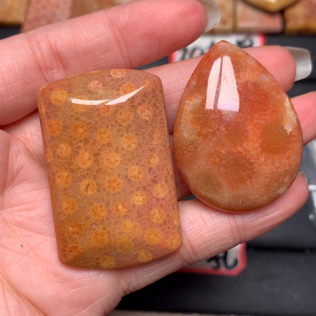 【闪购商品】硅化玉颈饰未镶嵌源*