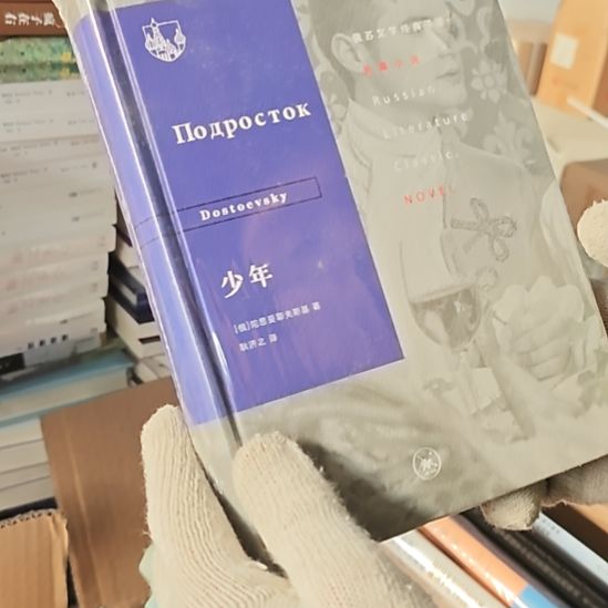 少年精装塑封库存书有小氧化