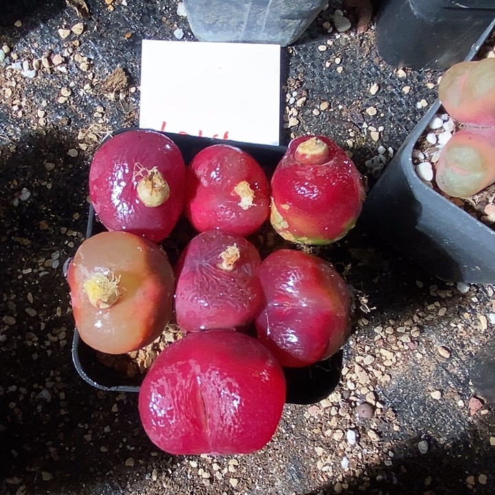 优****4359。   一组。 一组。 