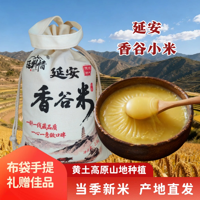 【延州情】2025新米上市陕北延安香谷米黄小米油小米宝宝米月子米