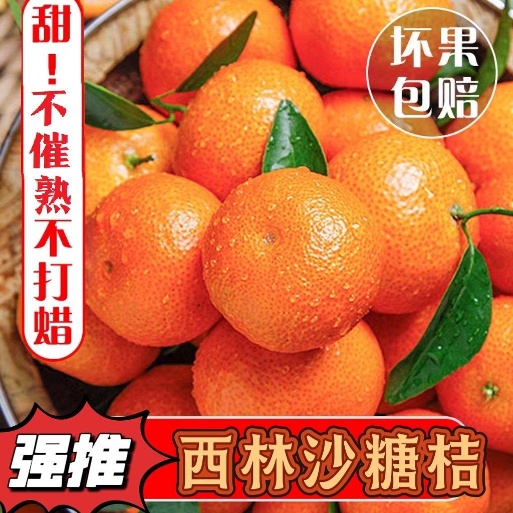 广西西林正宗沙糖桔新鲜当季水果