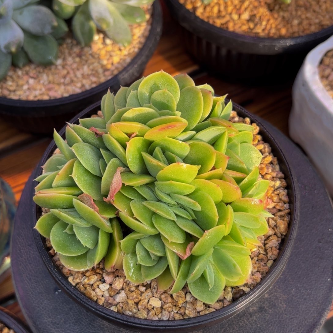 Jjkknbnjkkbbnnnnmkkkkkkl