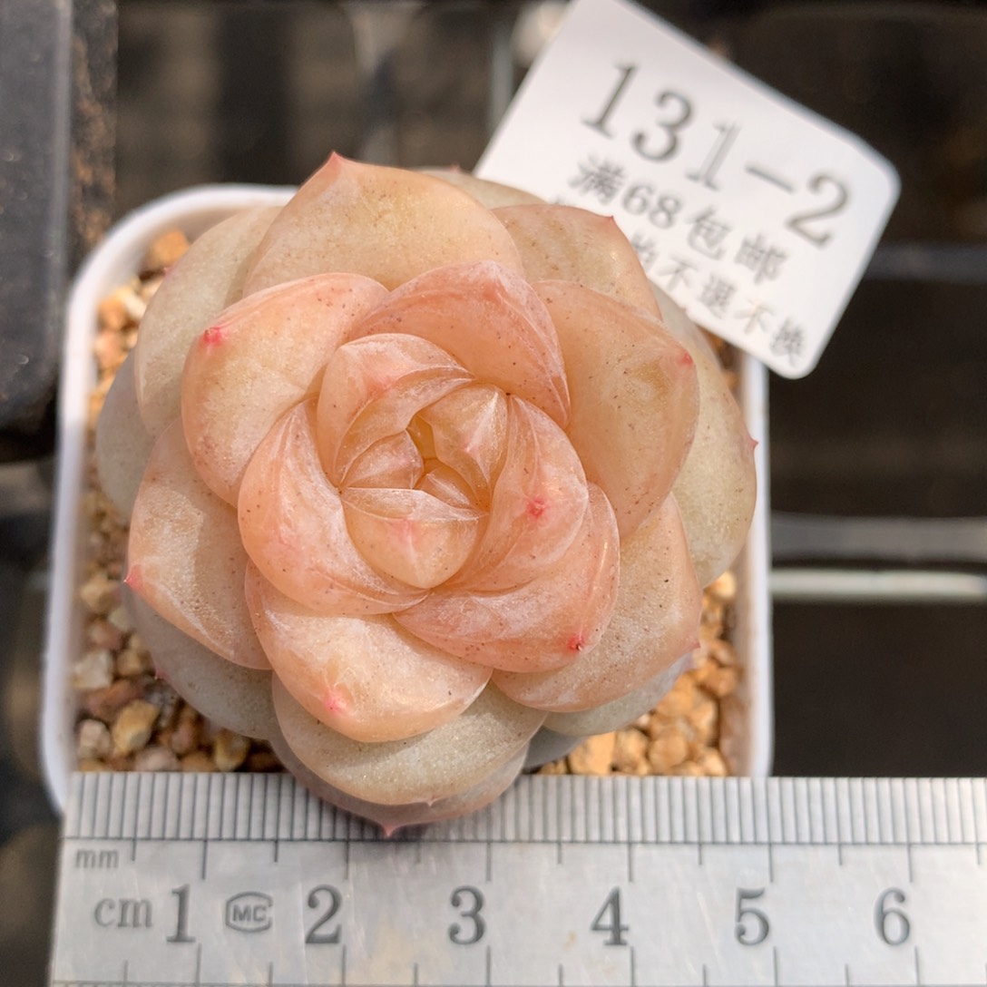 2。妃子笑。满六八包邮。初八发货。