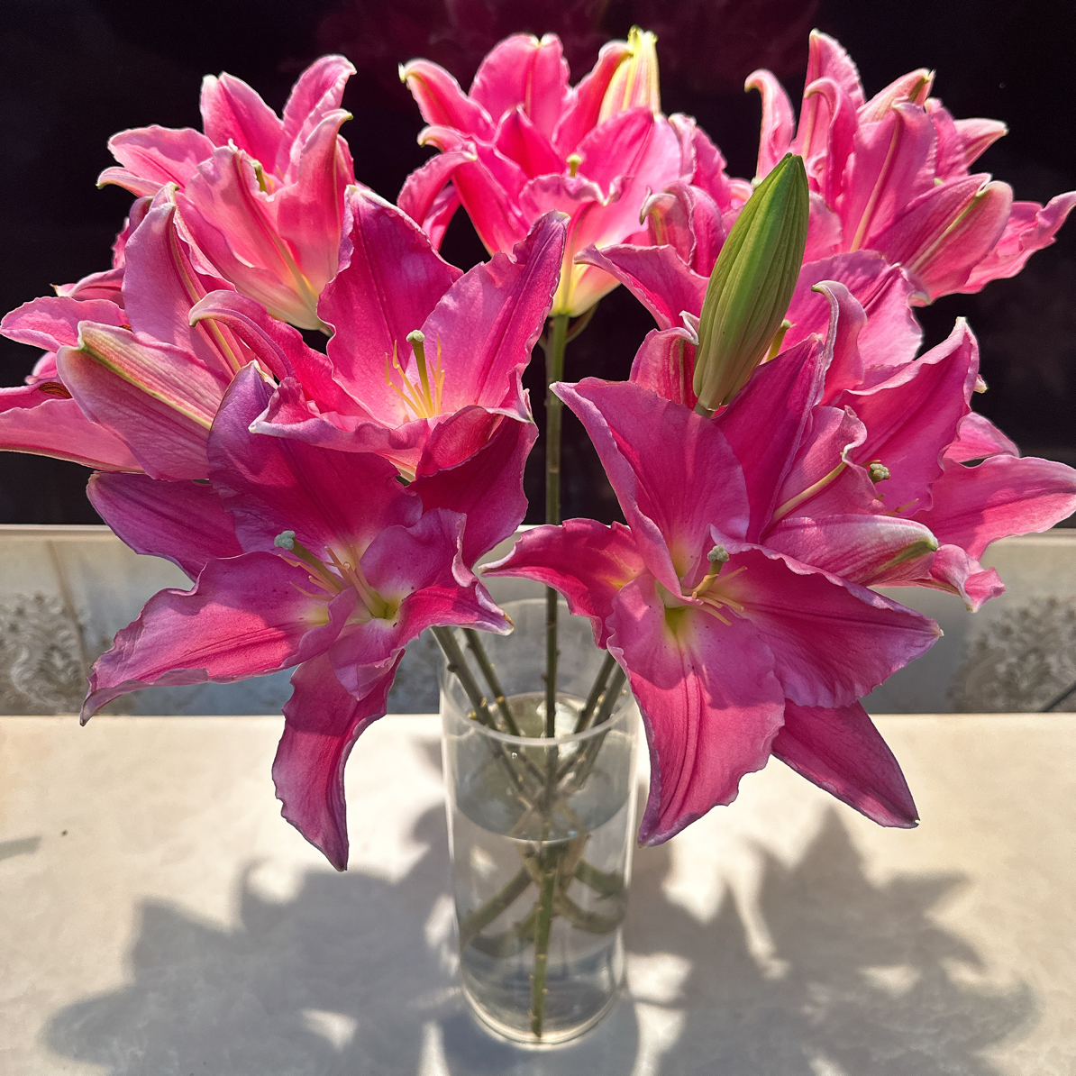 9号曼德拉百合混头头很多，我要买我不售后