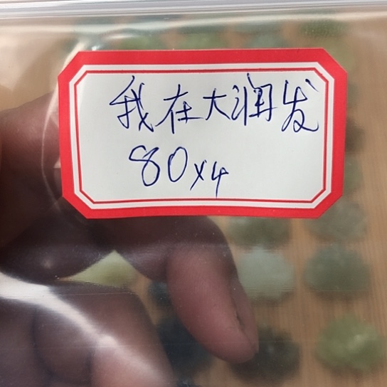 蛇纹石玉颈饰合金我****鱼