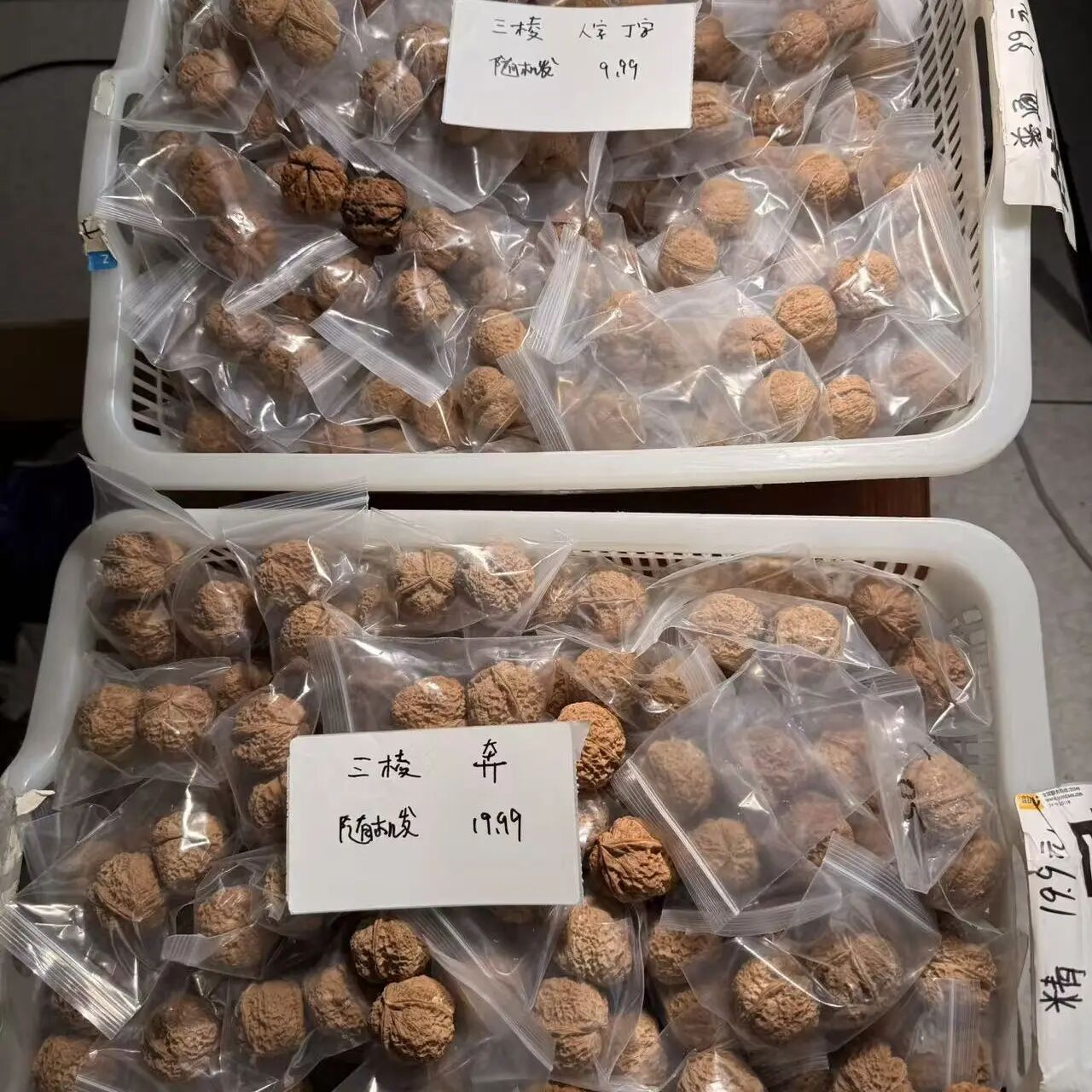 铁核桃三棱 款式可选