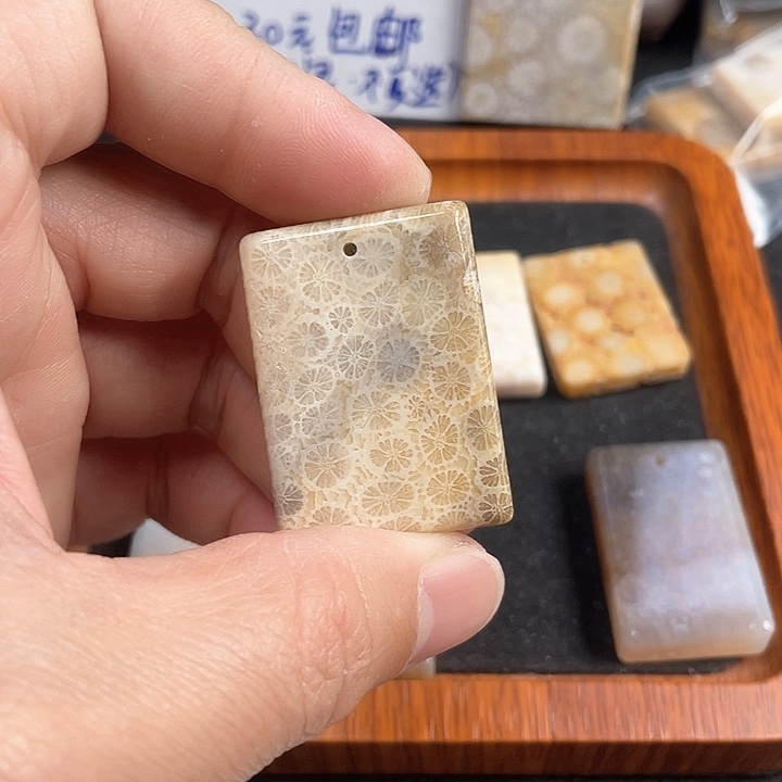 硅化珊瑚（珊瑚玉）吊坠(不含链)未镶嵌晶*?