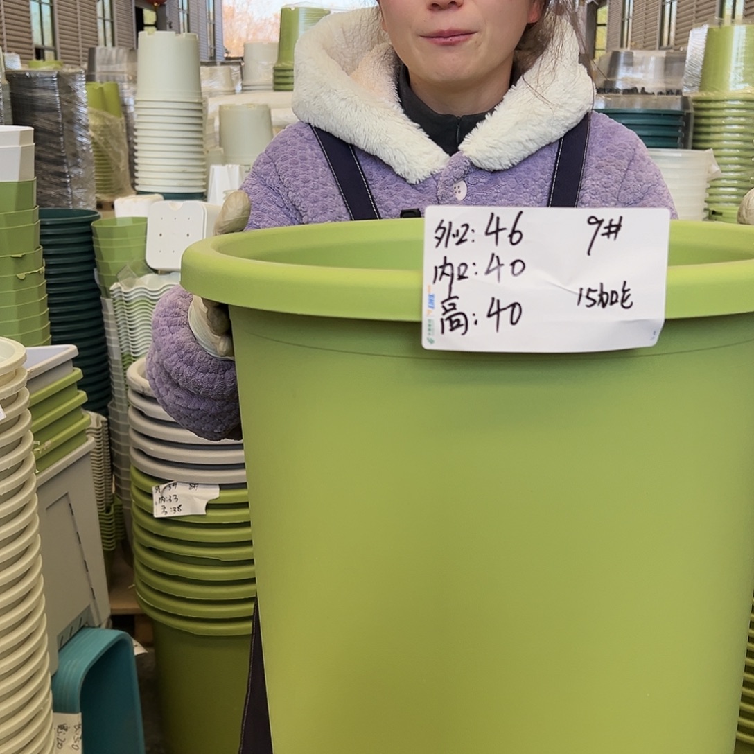 四季盆9#果绿4个无托