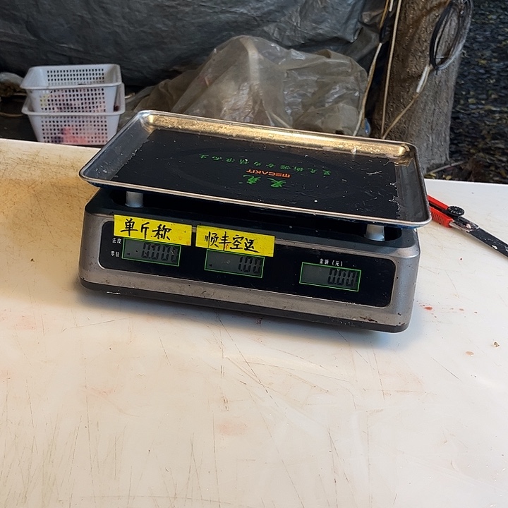 L***y18中国大陆包装但法国后不久