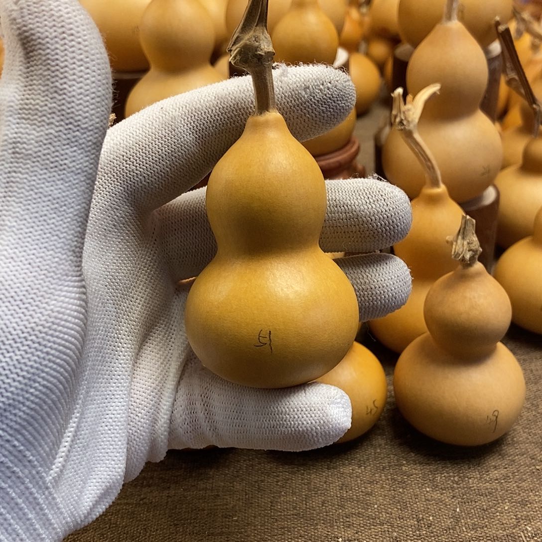 文玩葫芦 完美主义者 慎拍51