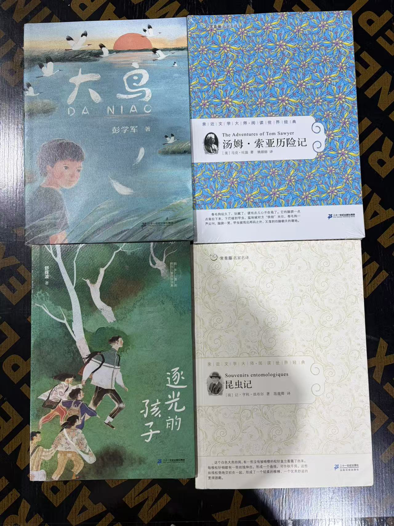 1254【尾单瑕疵】大鸟、逐光的孩子等套装图书  4本