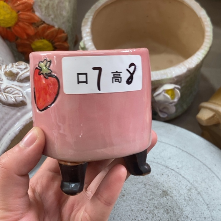 【闪购商品】红陶福利福利福利福利