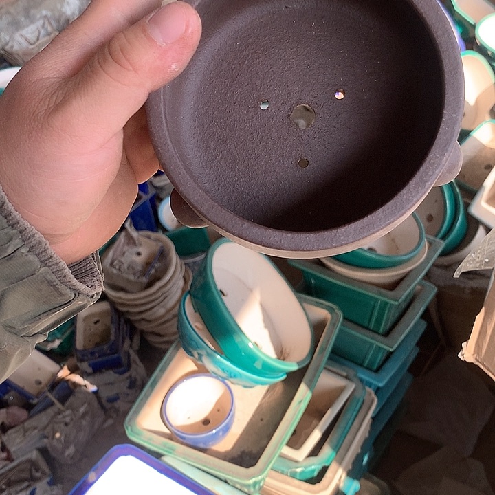 紫砂我要努力赚钱给你们一