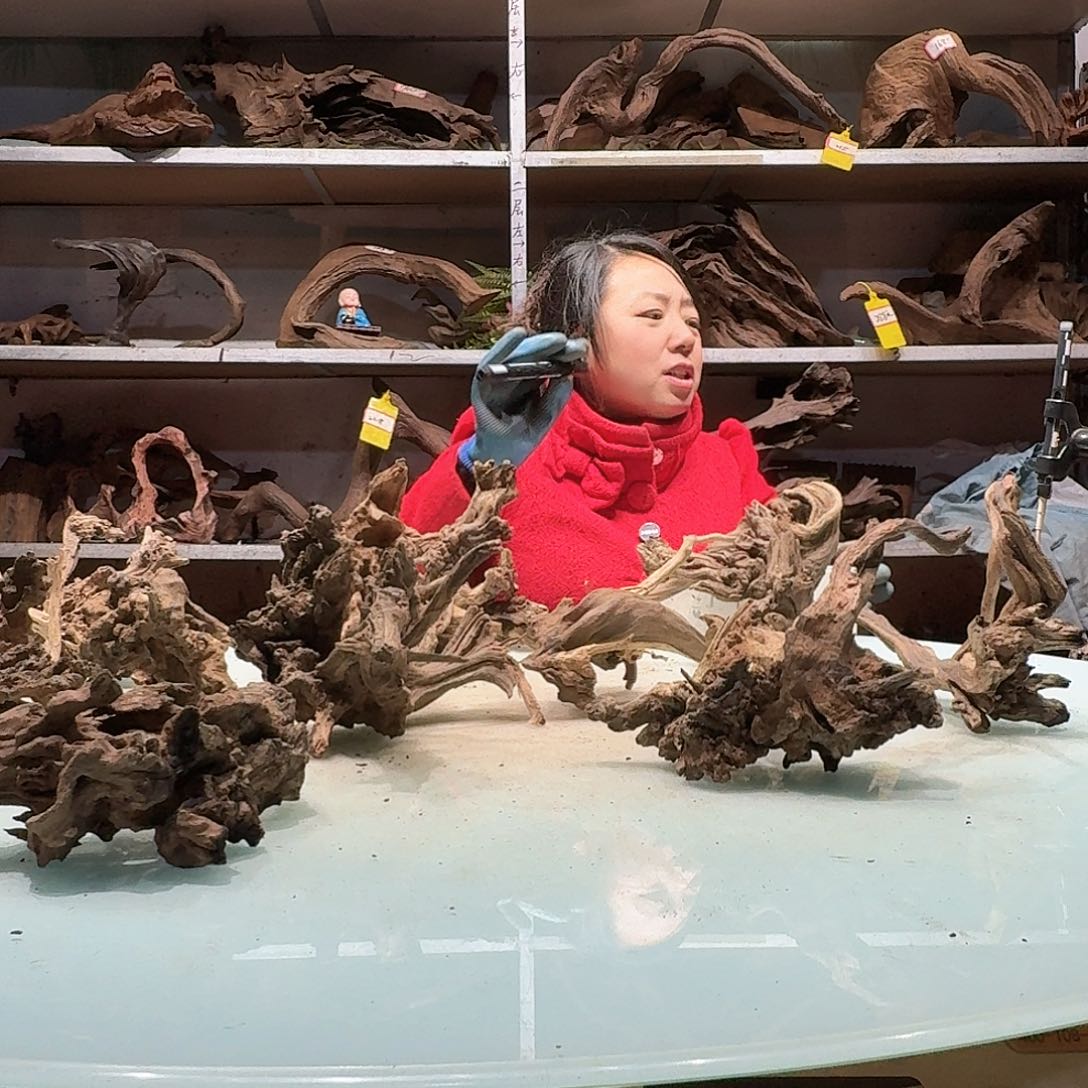 倍诸沉木不包损必褪色s****t6141玲珑木有小货