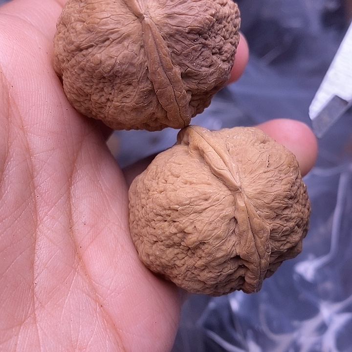 把件文玩核桃   180