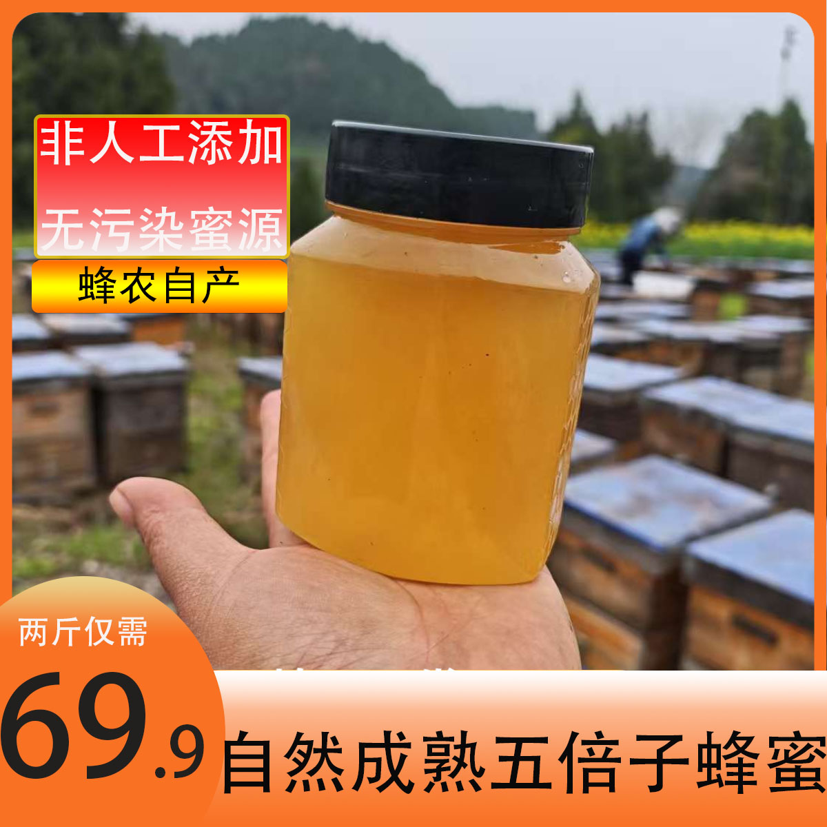 【遂宁农投推荐】五倍子蜂蜜原蜜蜂蜜正品包邮拍一发二