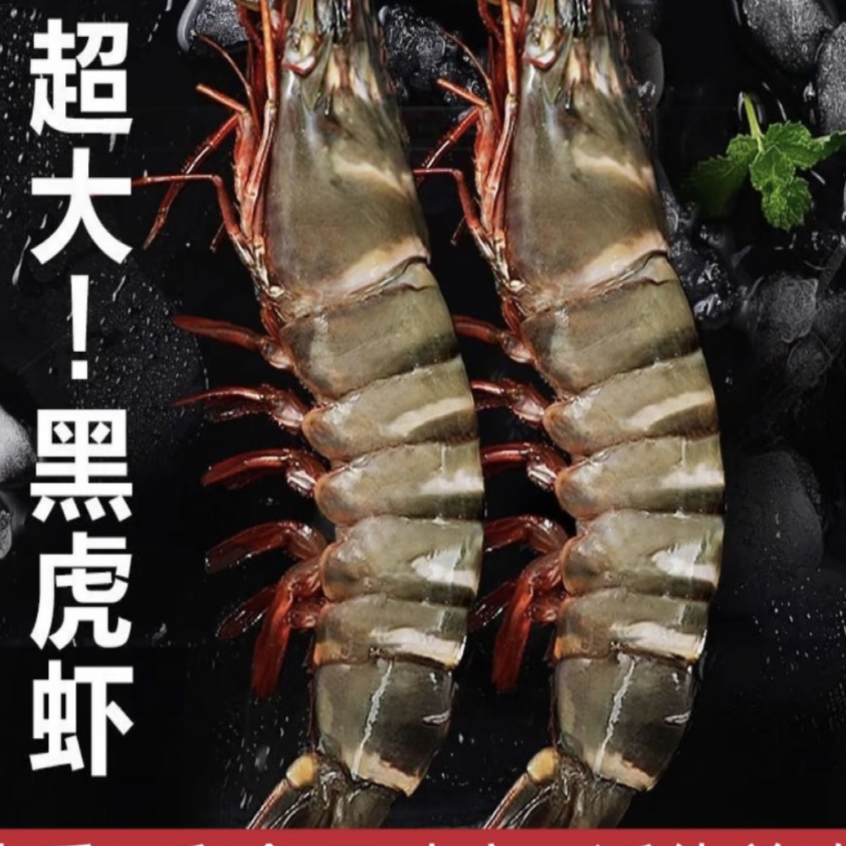 无冰衣一斤6-7只左右 净重三斤18只左右特大黑虎虾斑节虾顺丰发货