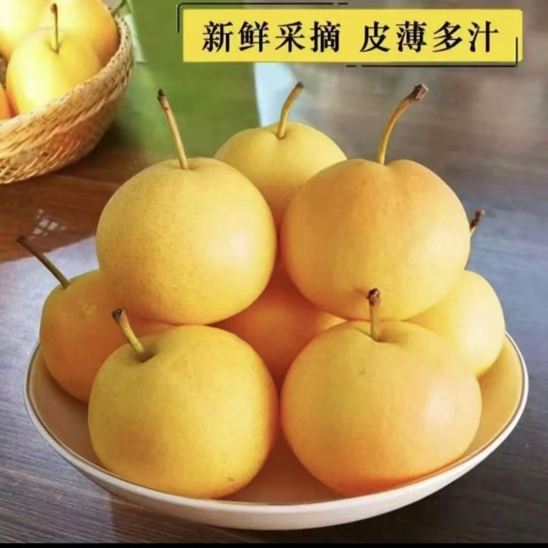 【京东包邮】家庭装正宗辽宁鞍山（南果梨）（香水梨）软糯香甜产地直发